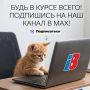 ������� ������ | 35�� � ����: max.ru/volreg