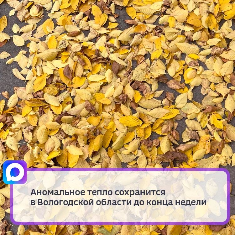 Средние значения температуры воздуха продолжают превышать климатическую норму