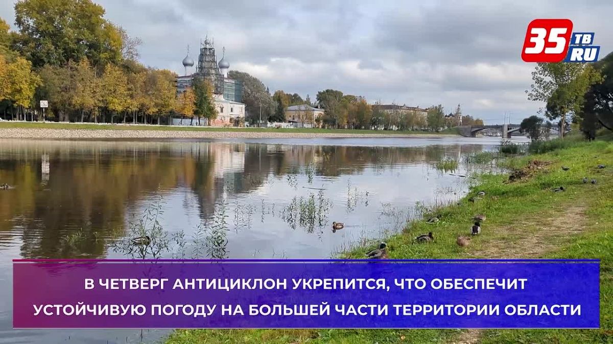 Бабье лето придёт в Вологодскую область – но не ко всем