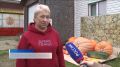 Тыкву весом больше 250 килограммов вырастила жительница деревни Вотолоно Вологодского округа