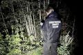 Трагедия в УстьКубенском районе, где медведь разорвал опытного охотника, сейчас возглавляет новостные ленты