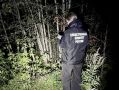 В Вологодской области следователи устанавливают обстоятельства гибели мужчины в результате нападения медведя