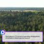 22 сентября житель деревни Большой Климовской отправился в лес и не смог найти обратную дорогу