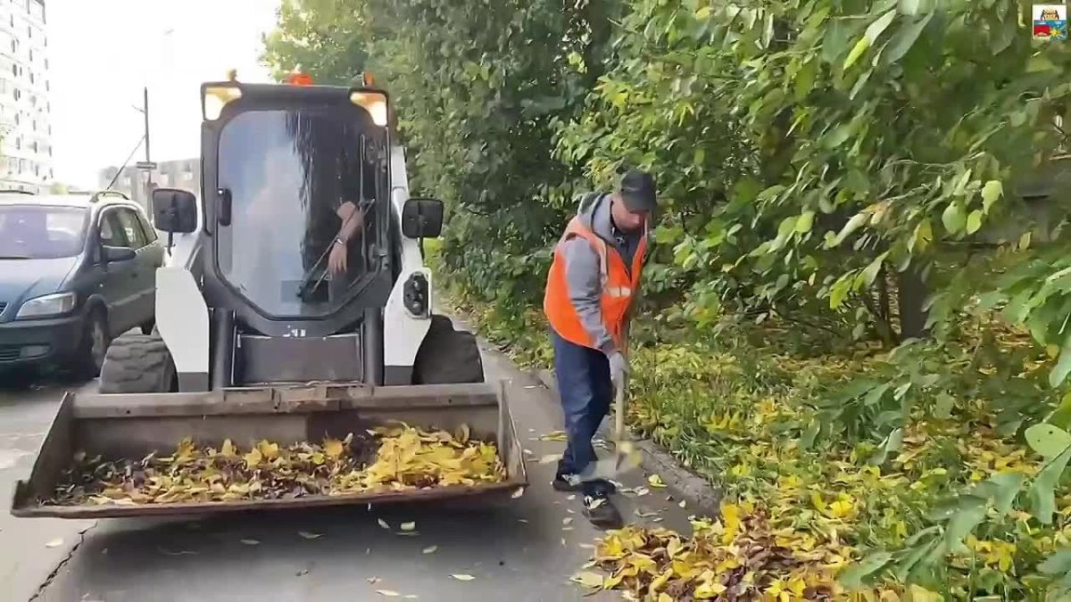 Андрей Накрошаев: Больше 360 кубометров листвы уже убрали с улиц Череповца
