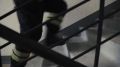 �� ������� �� �������� ���� ���