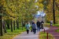 Георгий Филимонов: Золотая осень манит вологжан в Осановскую рощу
