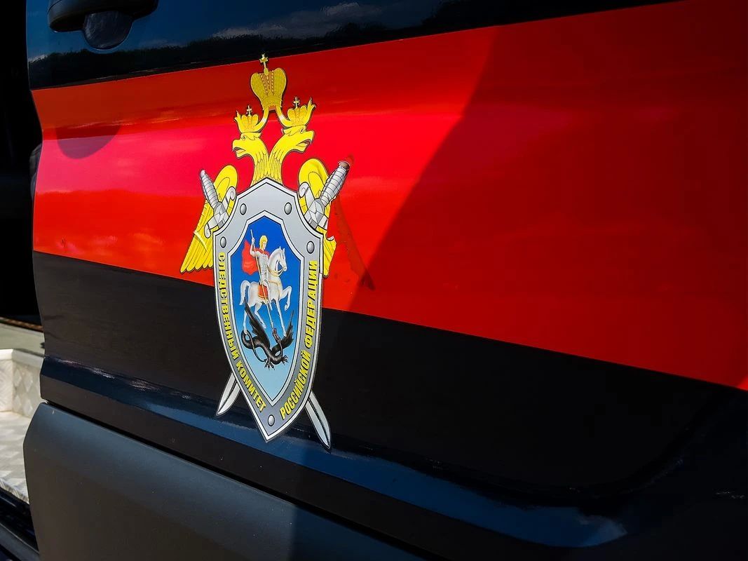 В Вологодской области нашли девочку, которую родители увезли в секту ради спасения от конца света и динозавров