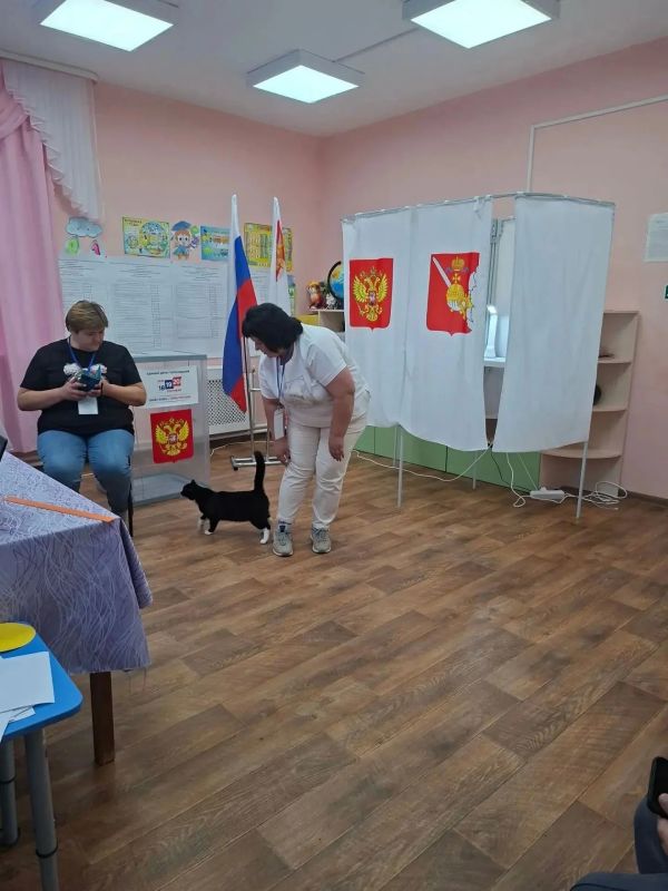 Четвероногие любимцы помогали своим хозяевам определиться с выбором Четвероногие любимцы помогали своим хозяевам определиться с выбором