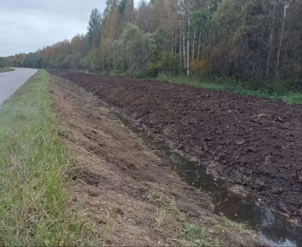 Георгий Филимонов: Дорогу Белозерск — Нижняя Мондома привели в порядок Георгий Филимонов: Дорогу Белозерск — Нижняя Мондома привели в порядок