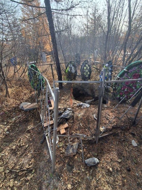 В Магадане медведь разрыл могилу и утащил тело женщины В Магадане медведь разрыл могилу и утащил тело женщины