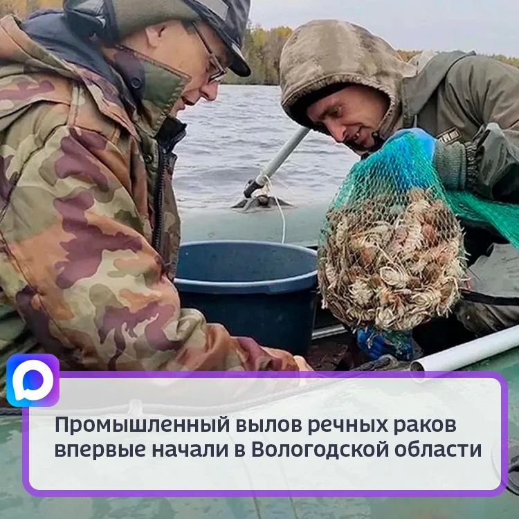 Это новое направление рыбохозяйственного комплекса региона