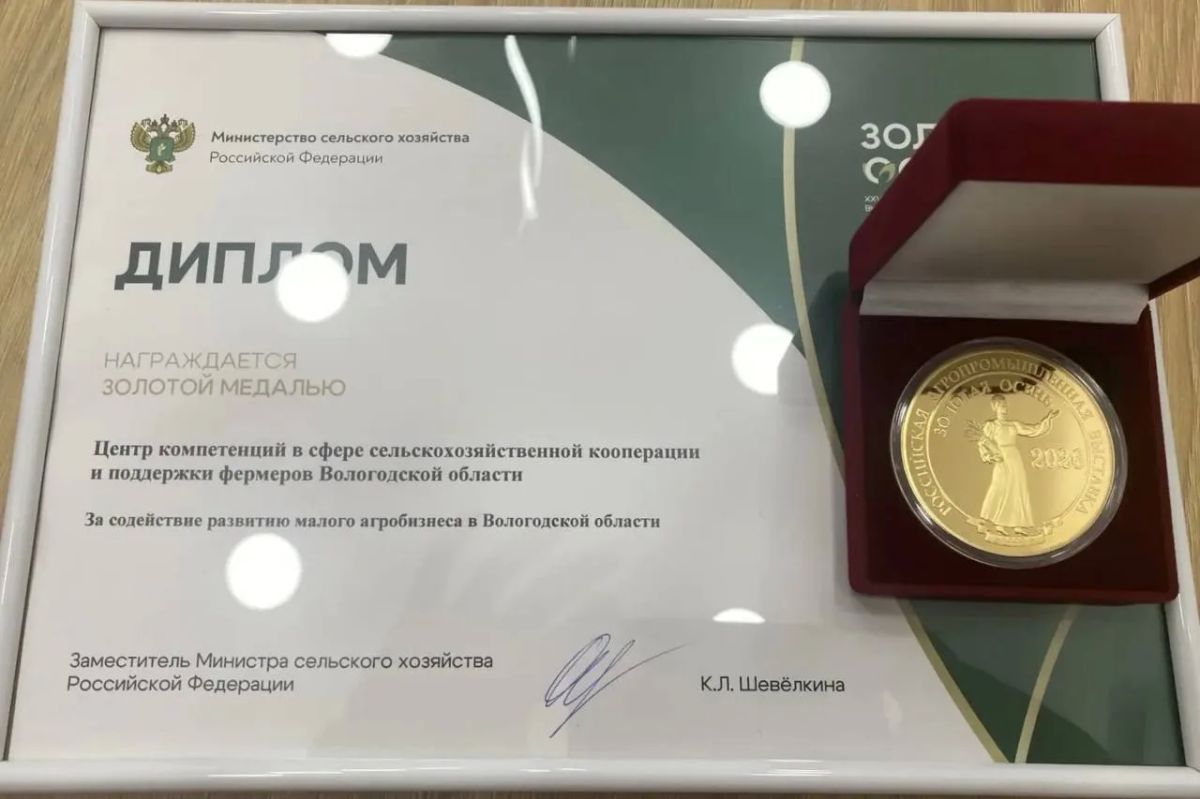 Георгий Филимонов: Доброе утро!. Первые медали завоевала Вологодчина на выставке «Золотая осень» в Москве Георгий Филимонов: Доброе утро!. Первые медали завоевала Вологодчина на выставке «Золотая осень» в Москве