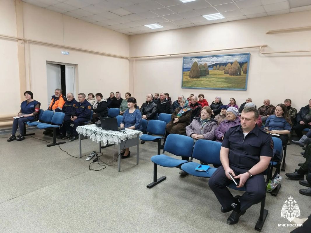 Сход граждан в сельском поселении Сход граждан в сельском поселении