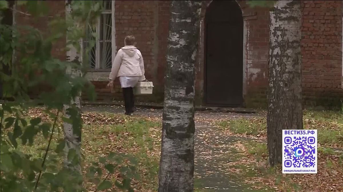 Похолодание и проливные дожди сказываются и на настроении