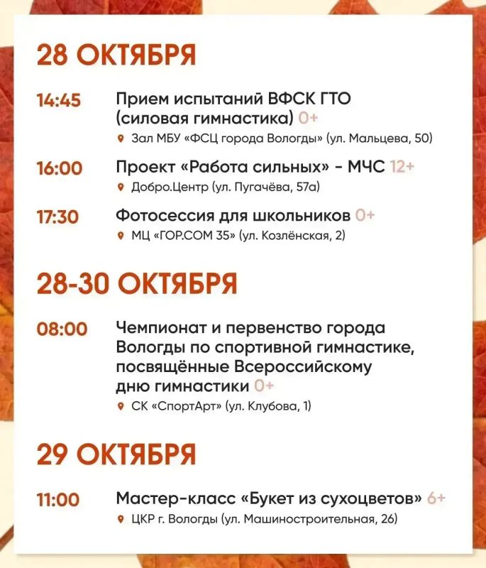 В Вологде на школьные каникулы подготовили большую программу — с 26 октября по 3 ноября ребят ждут интересные события в учреждениях культуры и спорта В Вологде на школьные каникулы подготовили большую программу — с 26 октября по 3 ноября ребят ждут интересные события в учреждениях культуры и спорта