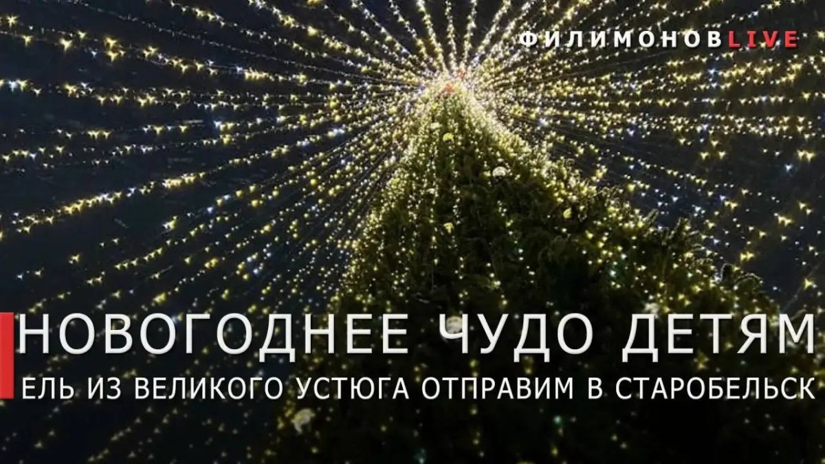 Георгий Филимонов: Новогоднюю ель из Великого Устюга отправим детям Старобельска