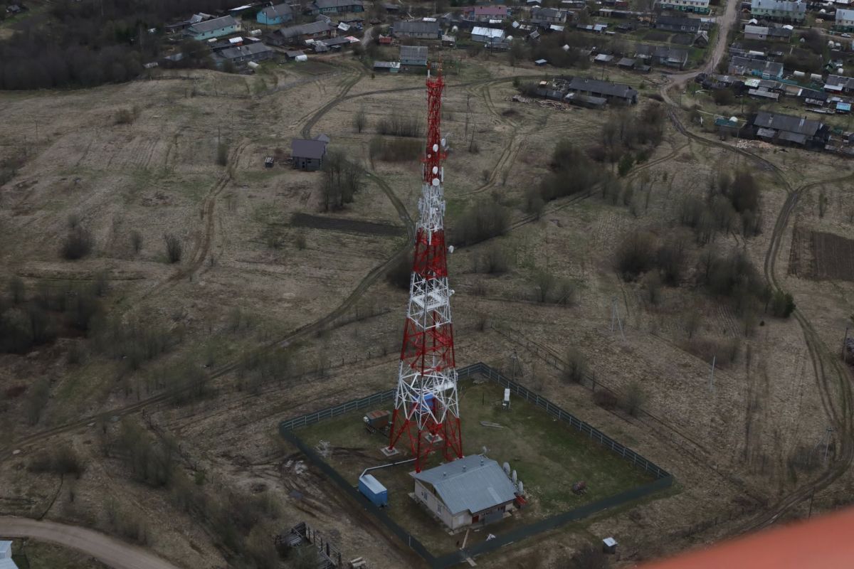 Более 6 тысяч вологжан проголосовали за появление мобильного интернета в 2027 году
