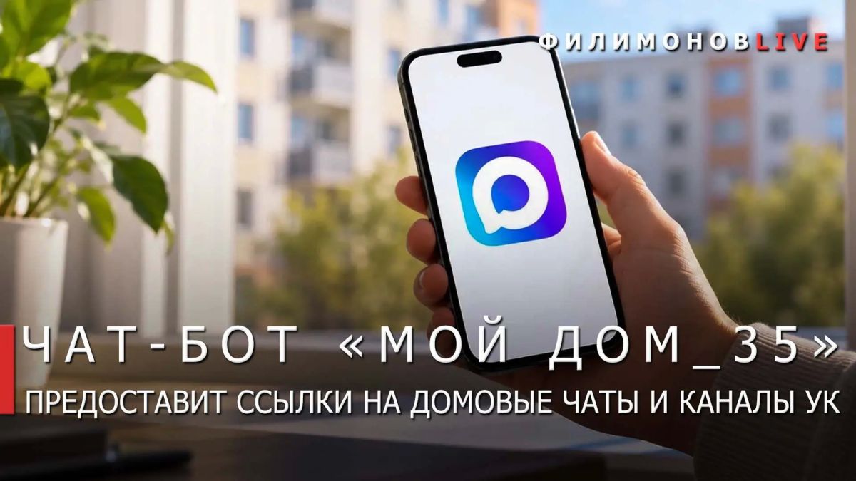 Георгий Филимонов: Чат-бот «Мой дом_35» поможет вологжанам находить общедомовые чаты и контакты управляющих компаний