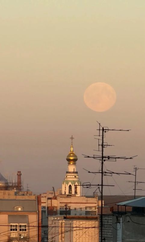 Смотрите, какая красота прямо сейчас в вологодских окнах