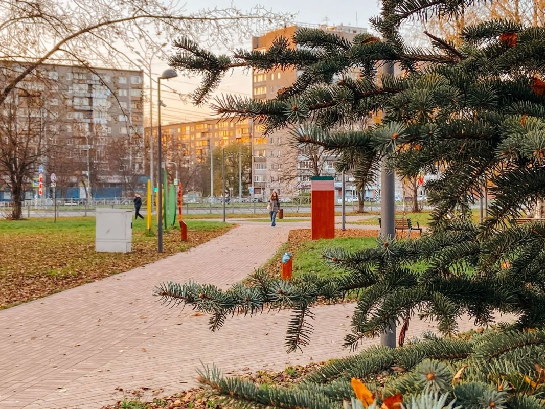 Георгий Филимонов: Осень в обновлённом Архангельском сквере Череповца Георгий Филимонов: Осень в обновлённом Архангельском сквере Череповца