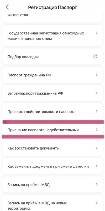 Что делать в случае потери или кражи паспорта? Что делать в случае потери или кражи паспорта?