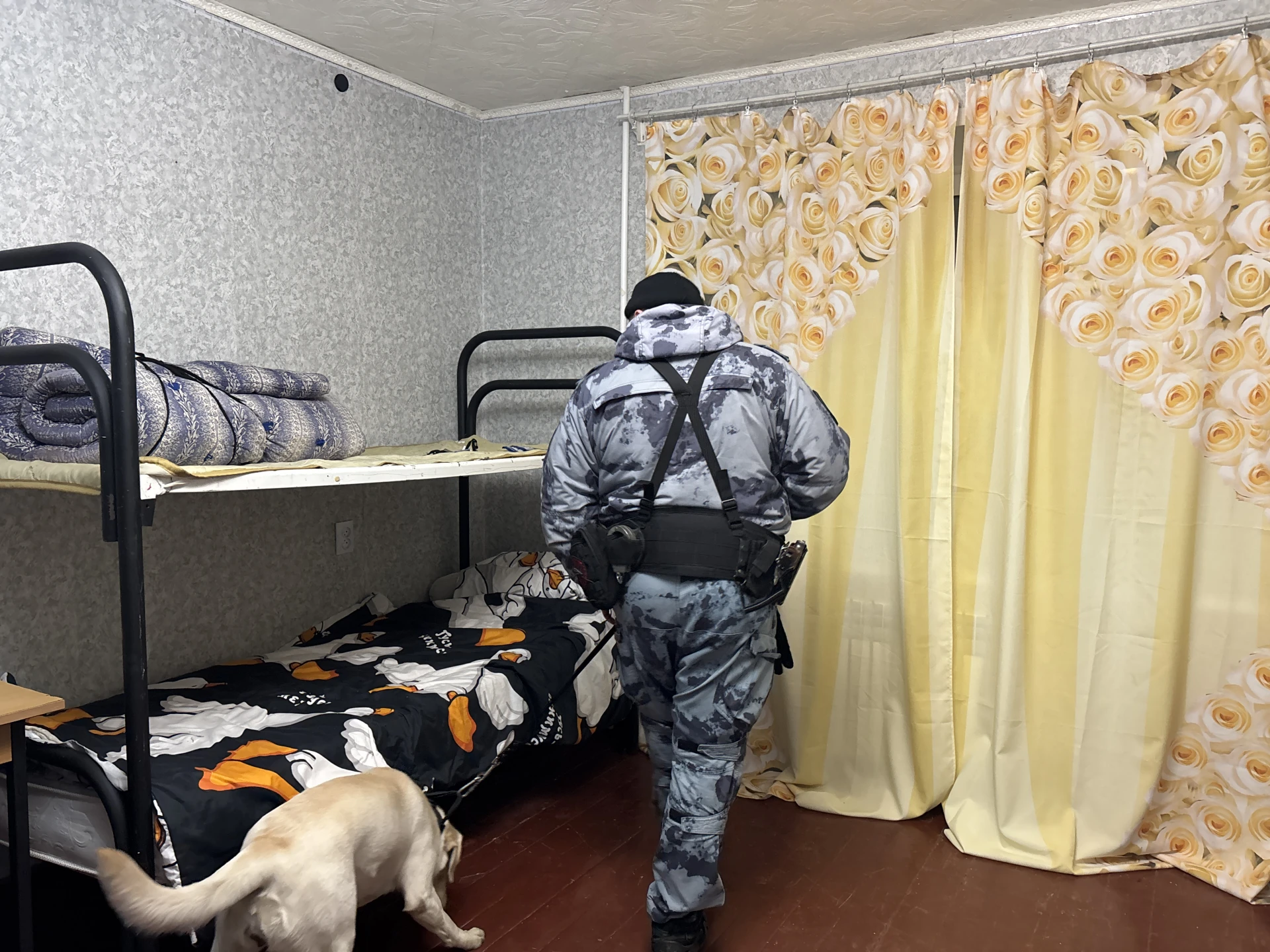 В Череповце полицейские проверили студенческие общежития на наличие запрещённых веществ