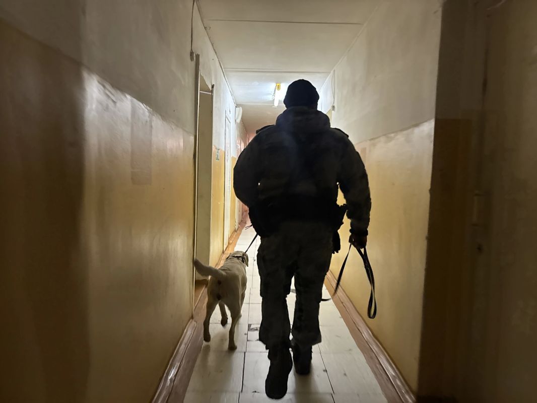В Череповце полицейские проверили студенческие общежития на наличие запрещённых веществ В Череповце полицейские проверили студенческие общежития на наличие запрещённых веществ