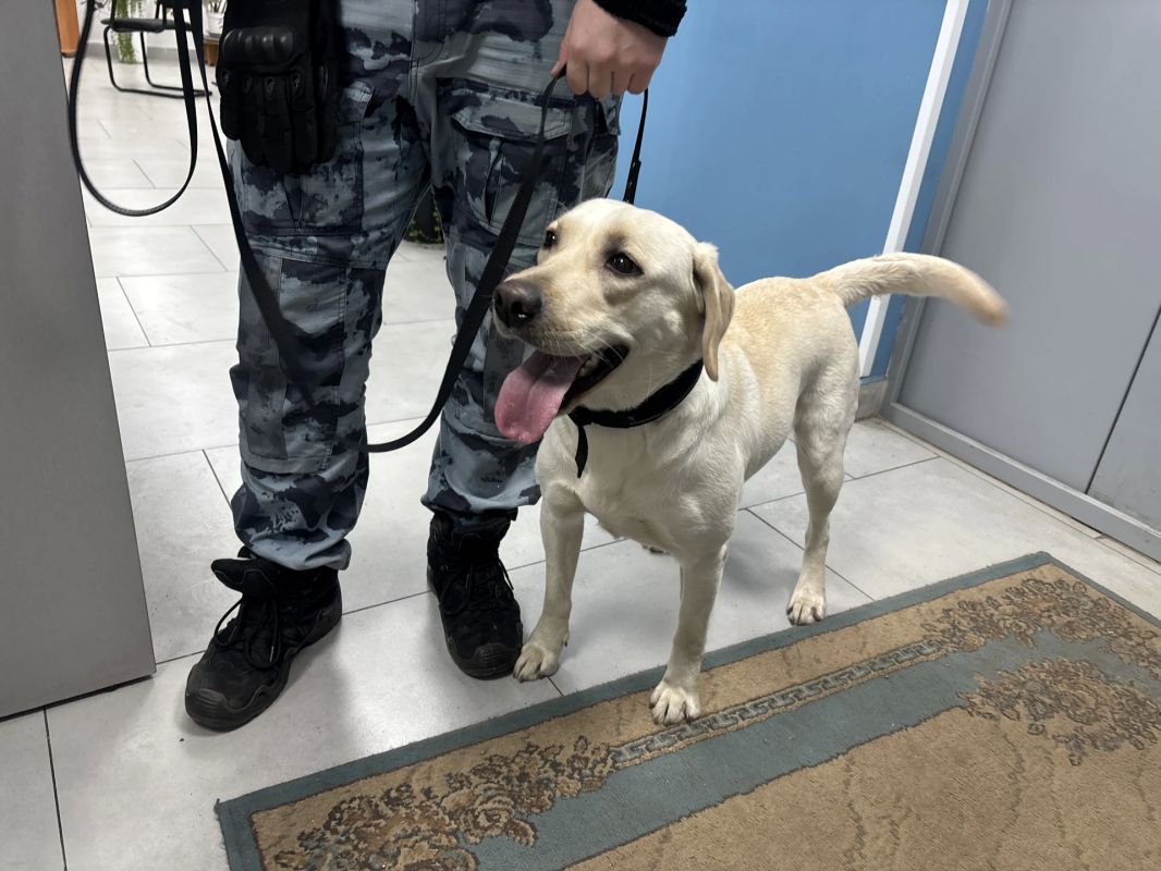В Череповце полицейские проверили студенческие общежития на наличие запрещённых веществ В Череповце полицейские проверили студенческие общежития на наличие запрещённых веществ
